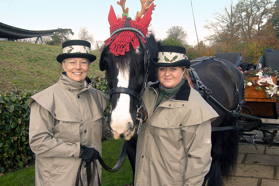 Horse and Carriage themed for Christmas